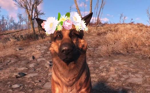 Where To Find Dogmeat In Fallout 3 - vmgreenway
